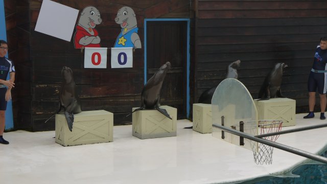 p1020713