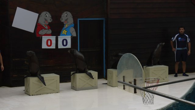 p1020714