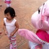 img_0217